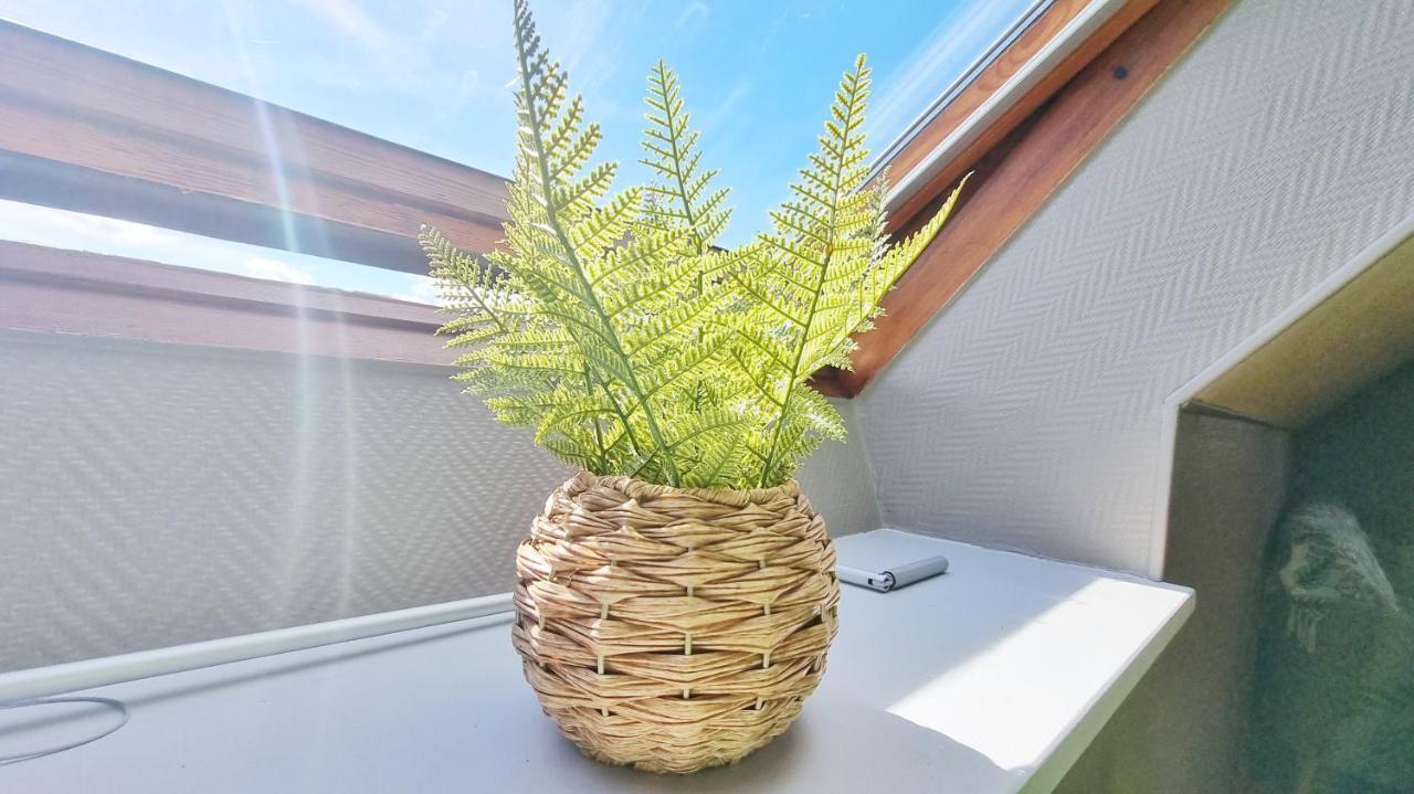L'Evasion - Balcon - Fibre - Calme - Rbnb Bollwiller Exterior foto